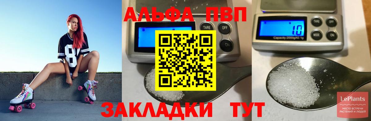 A-PVP СК Старая Русса