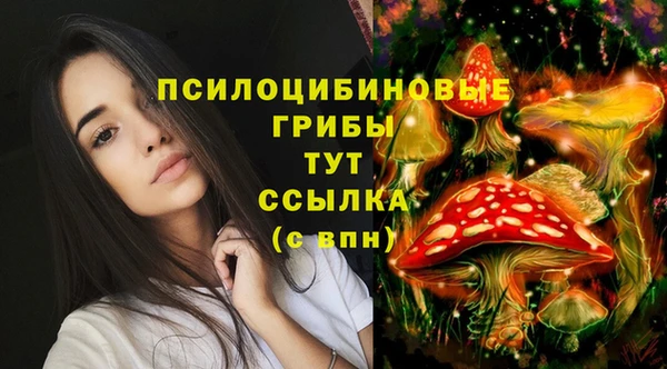 дурь Абаза