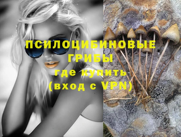твердый Алексеевка