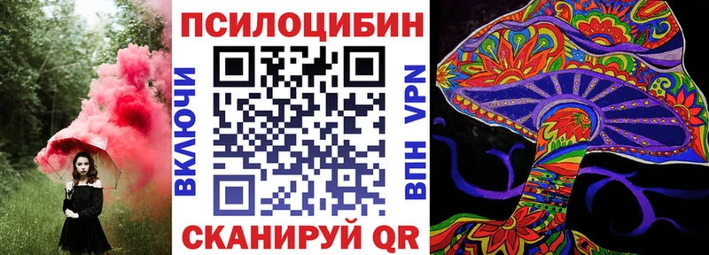кракен ТОР Старая Русса shop официальный сайт купить цена Псилоцибиновые грибы GOLDEN TEACHER