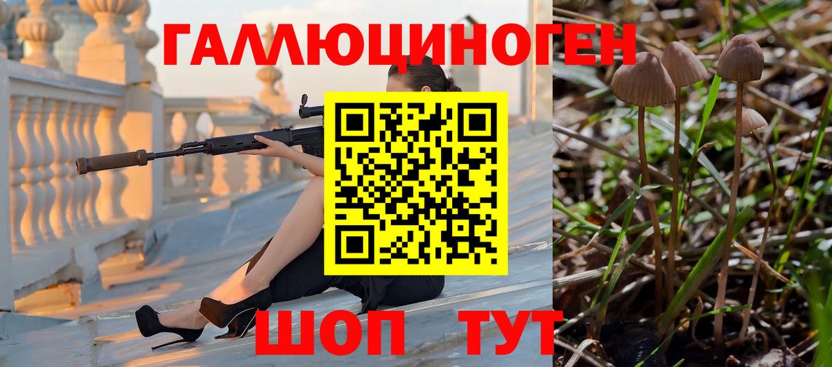 Галлюциногенные грибы GOLDEN TEACHER Старая Русса